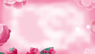 母亲节温馨粉色手绘花朵舞台背景AE模板视频的预览图